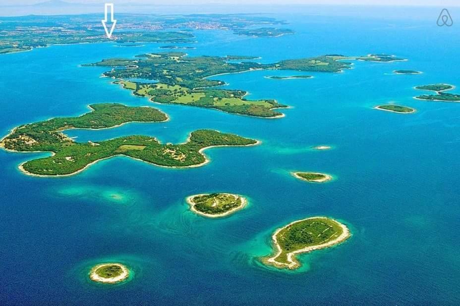 Stinjan Kascuni Pula